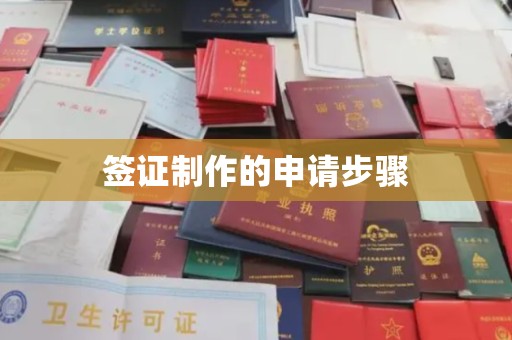 淮上签证制作的申请步骤
