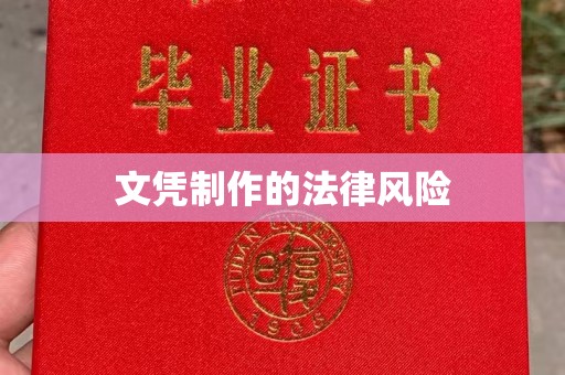 淮上文凭制作的法律风险