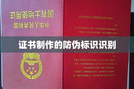 淮上证书制作的防伪标识识别