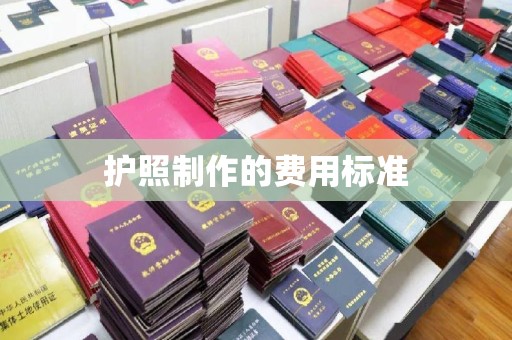 淮上护照制作的费用标准