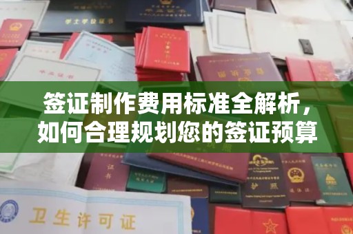 淮上签证制作费用标准全解析，如何合理规划您的签证预算？